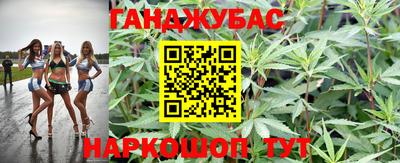 стаф Новозыбков
